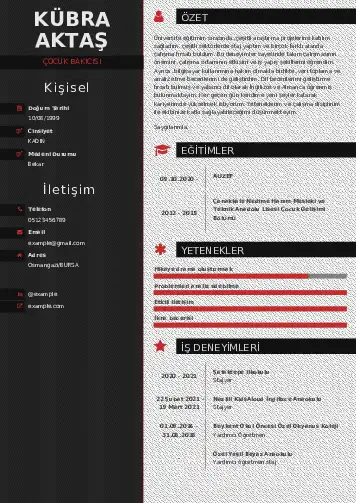 Çocuk Bakıcısı CV Örnekleri cv indir